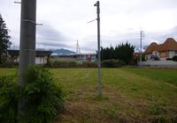 東側　電柱