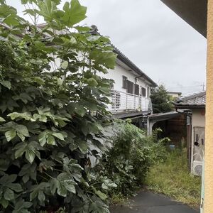 川田町
