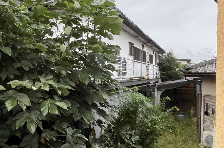 川田町